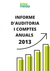 Informe Auditoria 2013